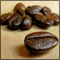 The Fresh Roast System